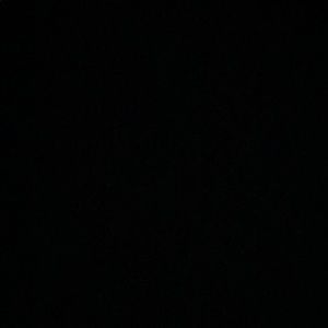 Meet your Posher, Lacey